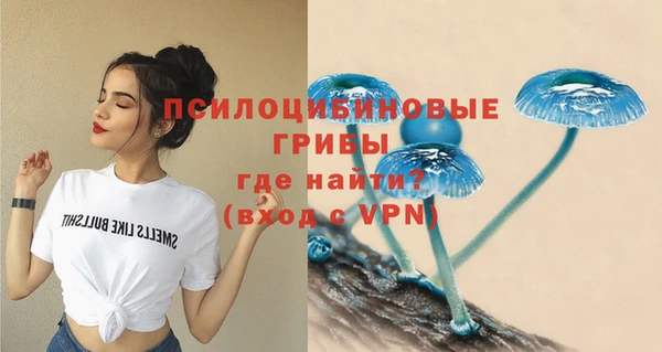 mdpv Бронницы