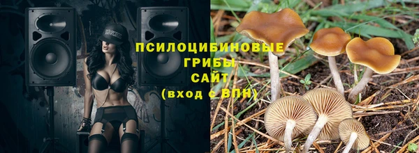 спиды Бородино