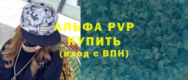 спиды Бородино